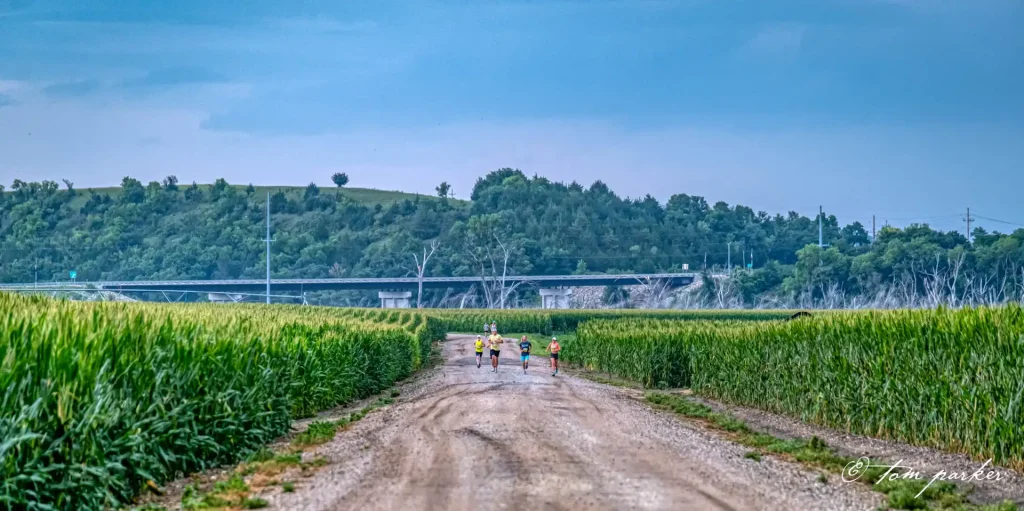 Runners on a rural road flanked by cornfields with an overpass in the background.